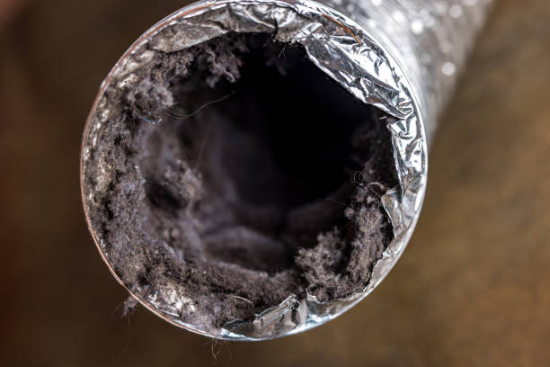 Best Air Duct Cleaning Near Me  in Fernley, NV