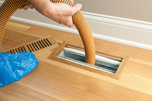 Best Professional Duct Cleaning Services  in Fernley, NV