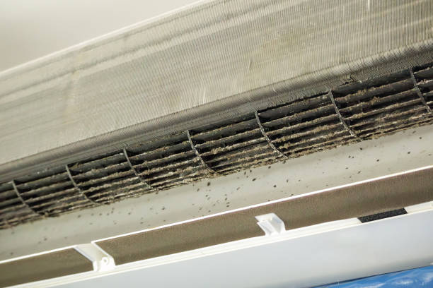 Best Professional Duct Cleaning Services  in Fernley, NV