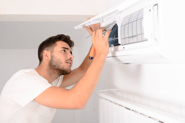 Best Air Vent Cleaning Services  in Fernley, NV