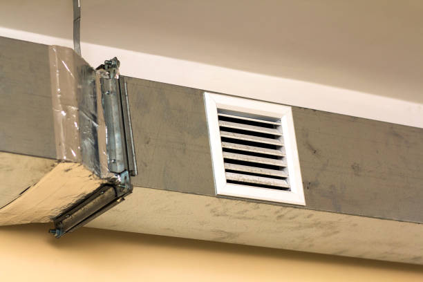 Best Duct Cleaning for Homes  in Fernley, NV